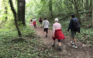 Errance'New n°5 du 17/06/20