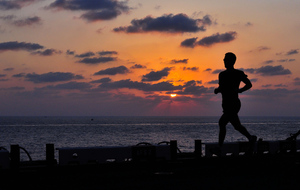 Errance New Estivale n° 6