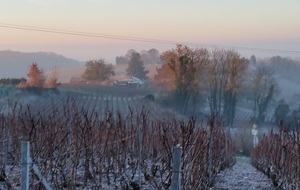 56a2592b6ea74_20160121090132.jpg