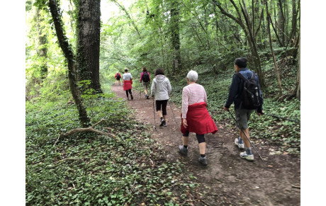 Errance'New n°5 du 17/06/20