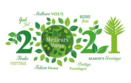 Errance'New n°3 du 17/01/21